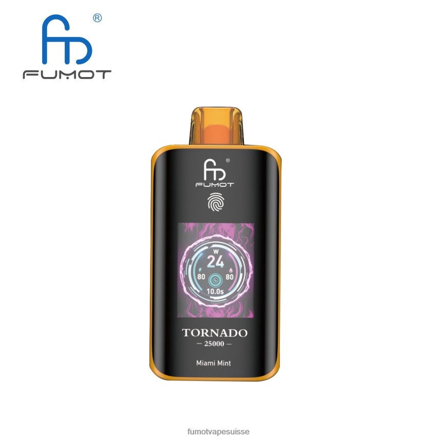 Fumot Factory - Fumot Tornado 25000 vapes jetables menthe de Miami 4686228