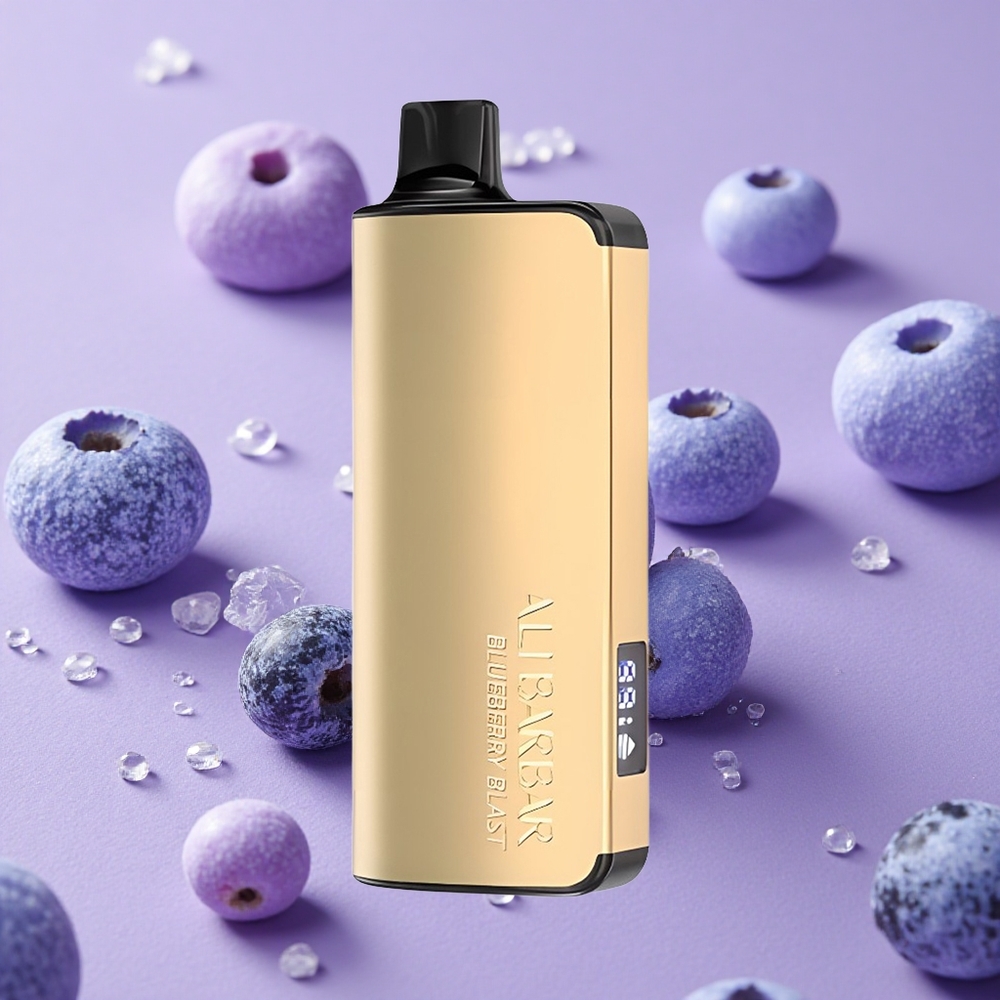 Explosion de Myrtille Alibarbar Ingot 9000 Puffs 22ml 2350mAh vente en gros Suisse