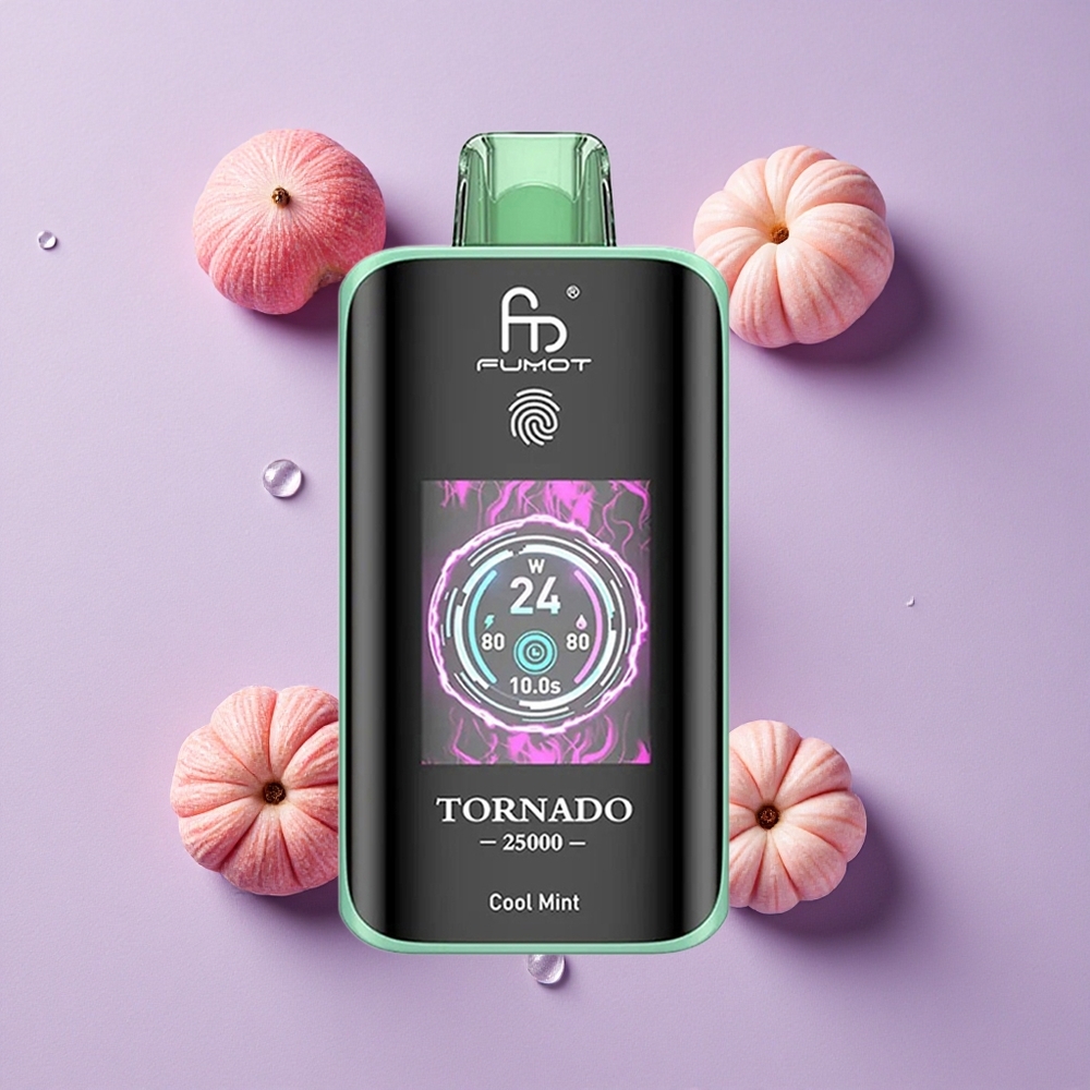 Menthe Fraîche Fumot Tornado 25000 Puffs Écran HD 20ml vente en gros Suisse