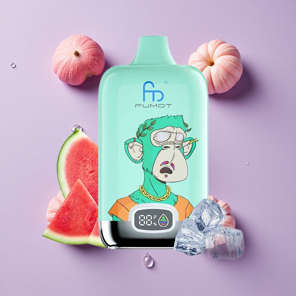 Menthe Fraîche Fumot Tornado Digital Box 12000 Puffs 20ml 550mAh vente en gros Suisse