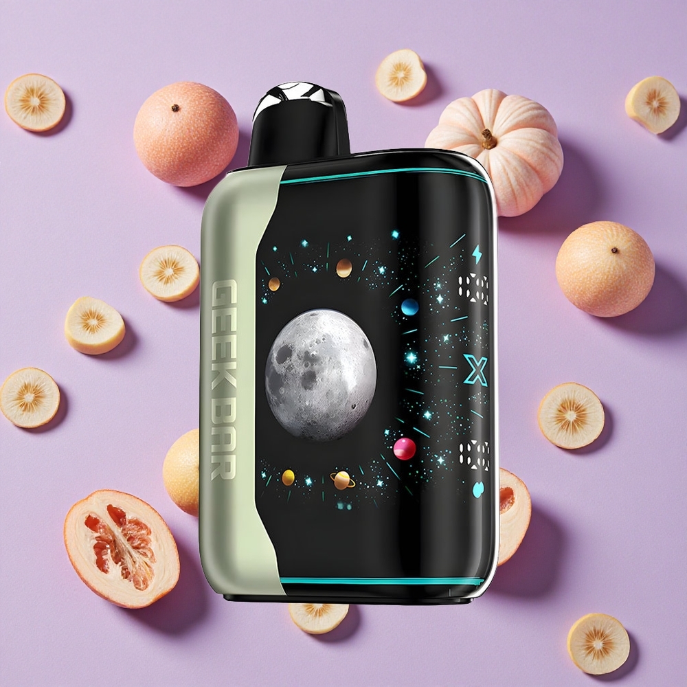Menthe Miami GEEK BAR Platinum Édition 25000 Puffs Charge Rapide vente en gros Suisse