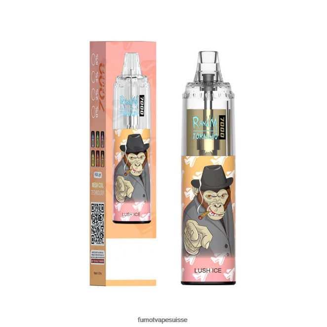 Fumot Tornado Stylo vape jetable 7000 - 14 ml (1 pièce) 24LD86 bonbons pêche-myrtille - Fumot Puff