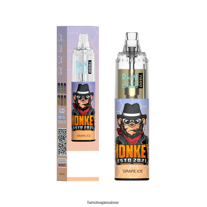 Fumot Tornado Stylo vape jetable 7000 - 14 ml (1 pièce) 24LD86 bonbons pêche-myrtille - Fumot Puff